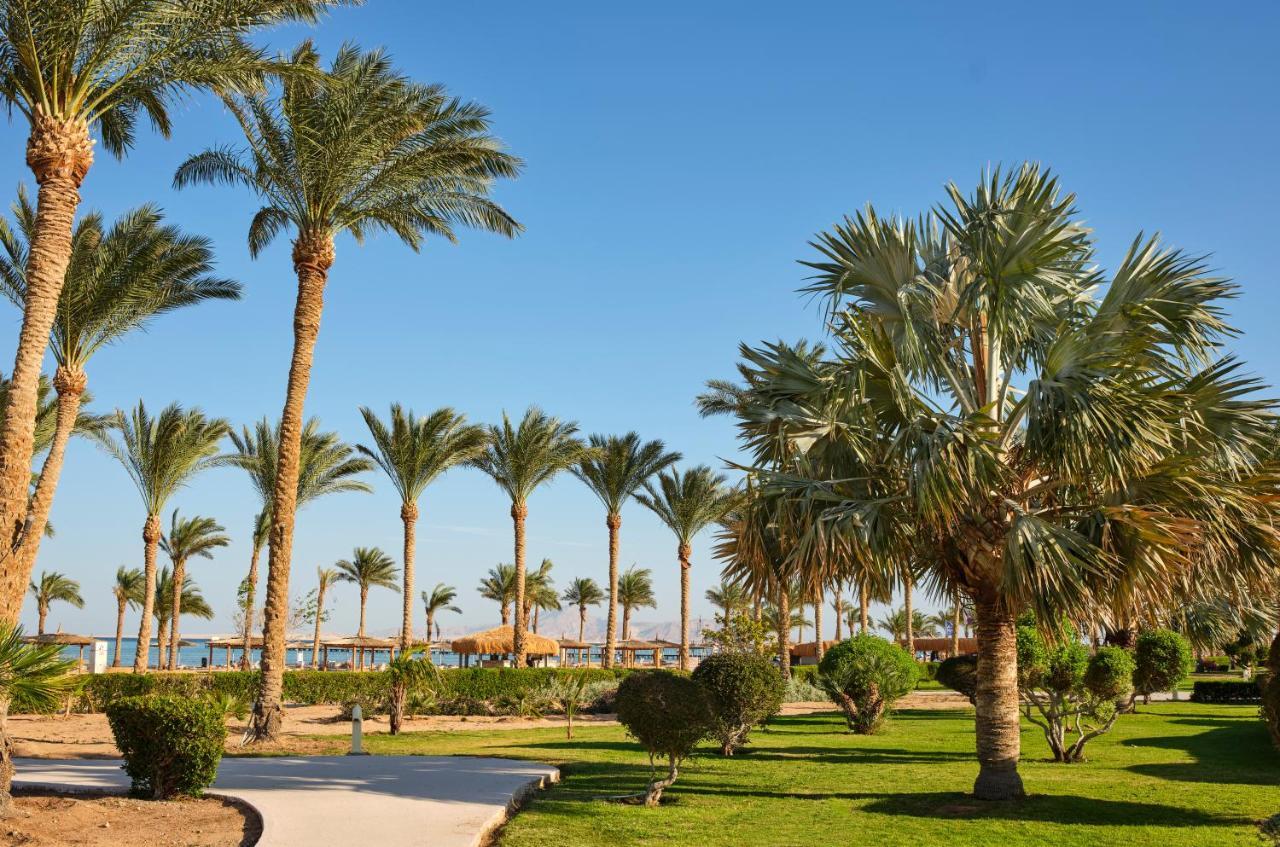 Coral Sea Waterworld Sharm El Sheikh Hotel Exterior foto